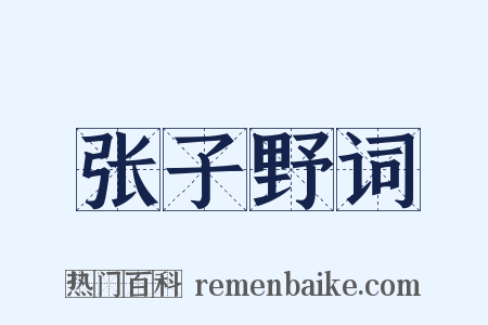 张子野词是什么意思的图片